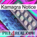 Kamagra Notice 34